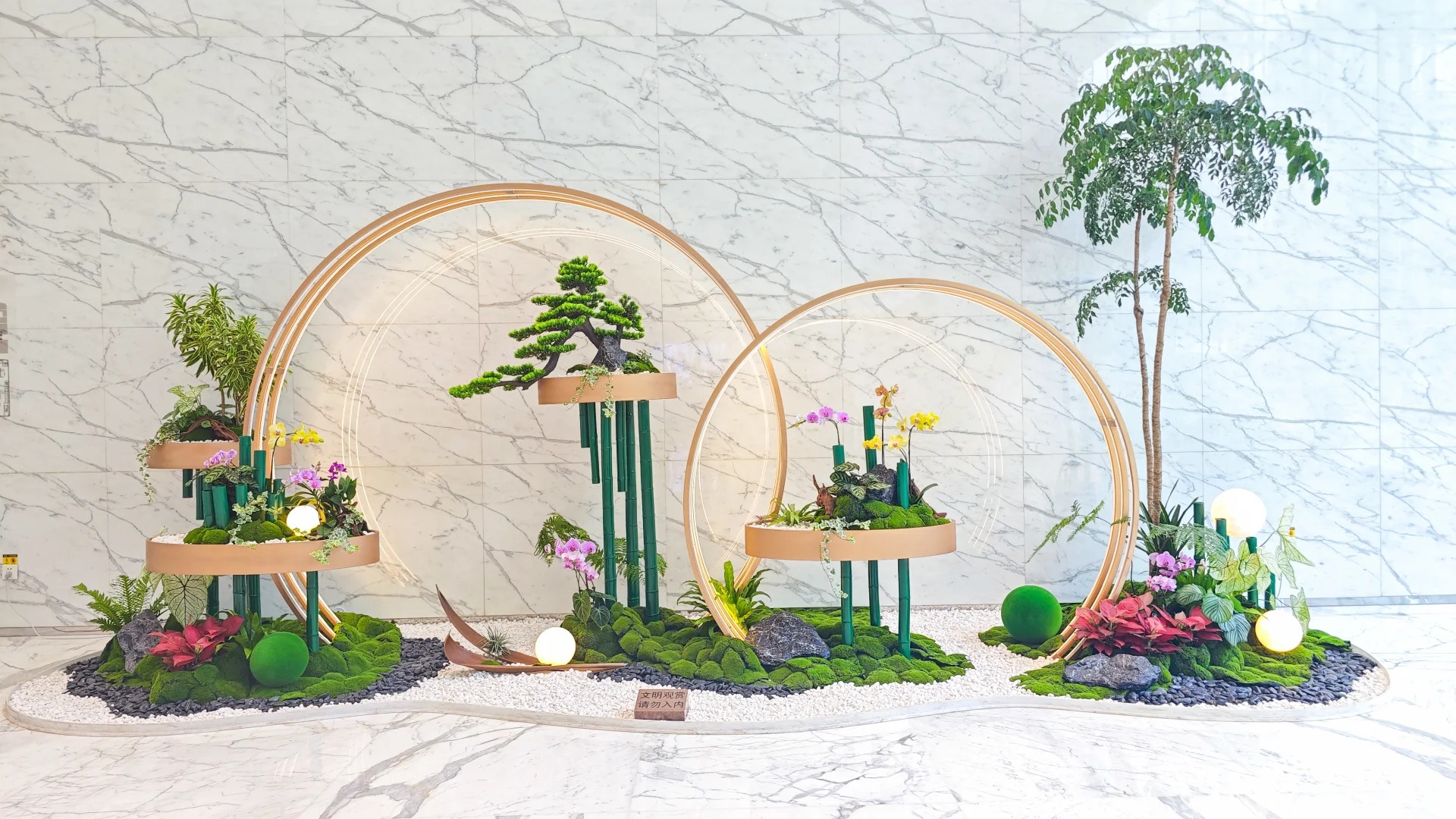 专业服务北仑植物出租，绿植魅力无限